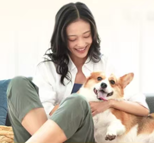 中国平安 | 家无忧·团圆保，甄选财产保障