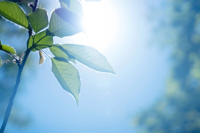 重庆放晴时间定了！雨停转晴，最高25℃！